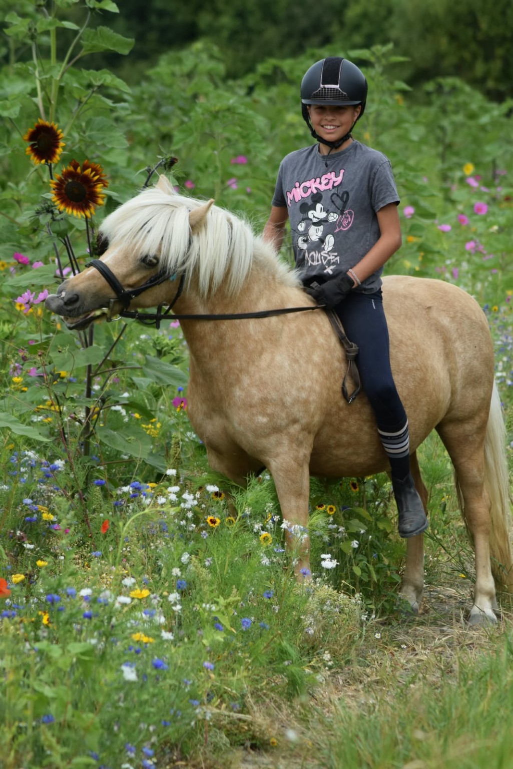 Jonge ruiter met pony tussen bloemen