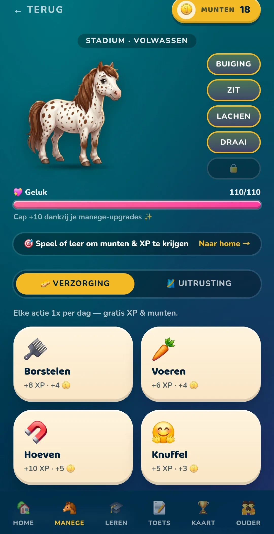 Echte In Galop appweergave met pony verzorgen en spelen